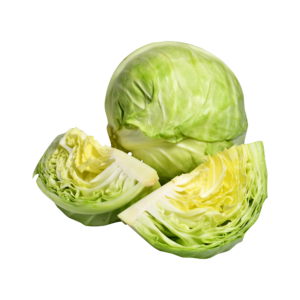 —pngtree—some fresh nutritious cabbage 5561431