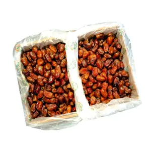 Kurma Mesir untuk takjil ramadhan